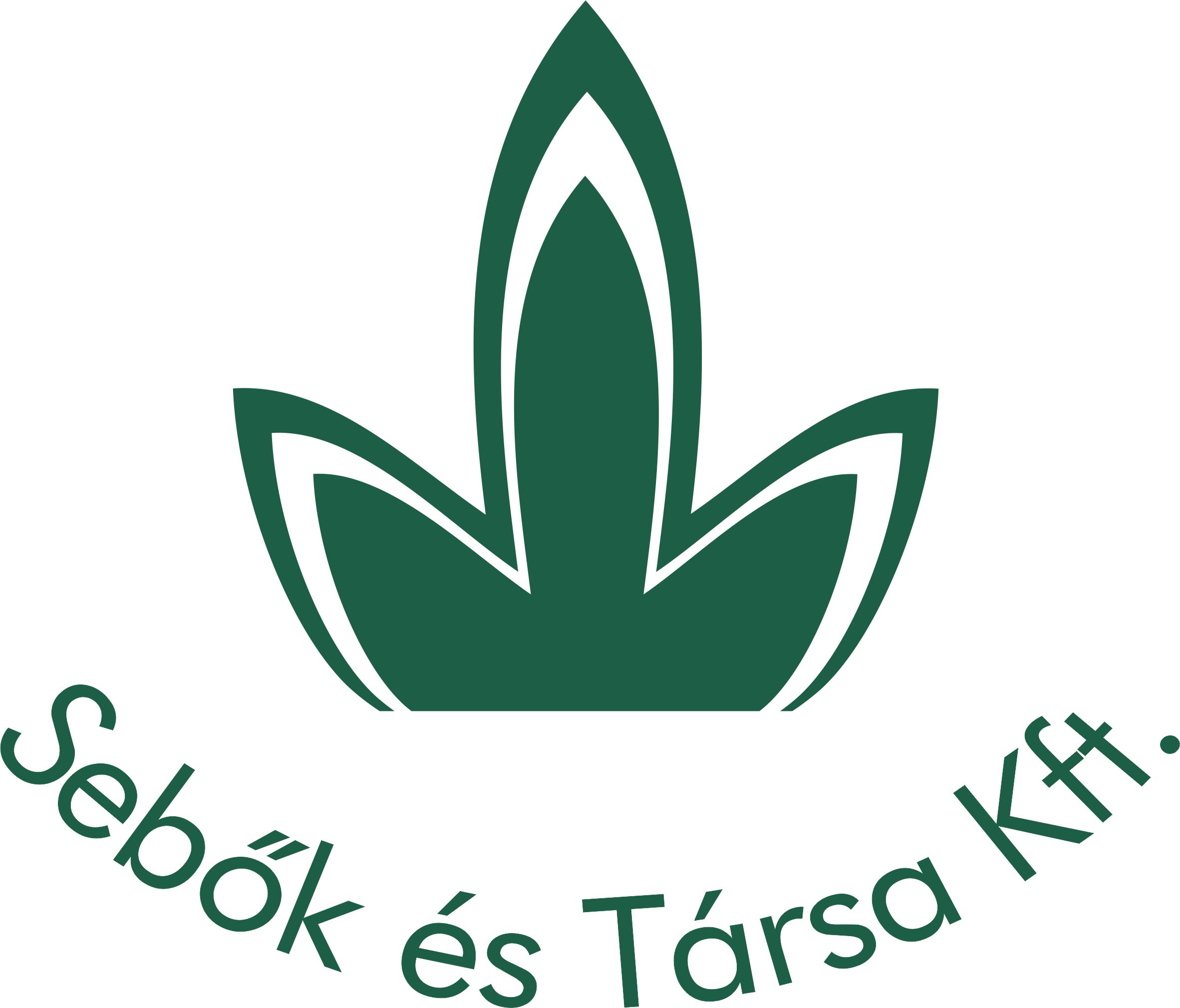 2013_sebok_logo