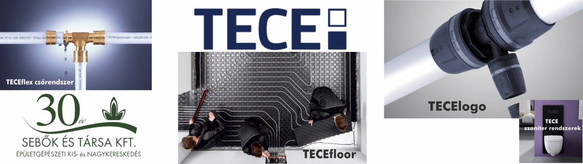2020_web_header_TECE